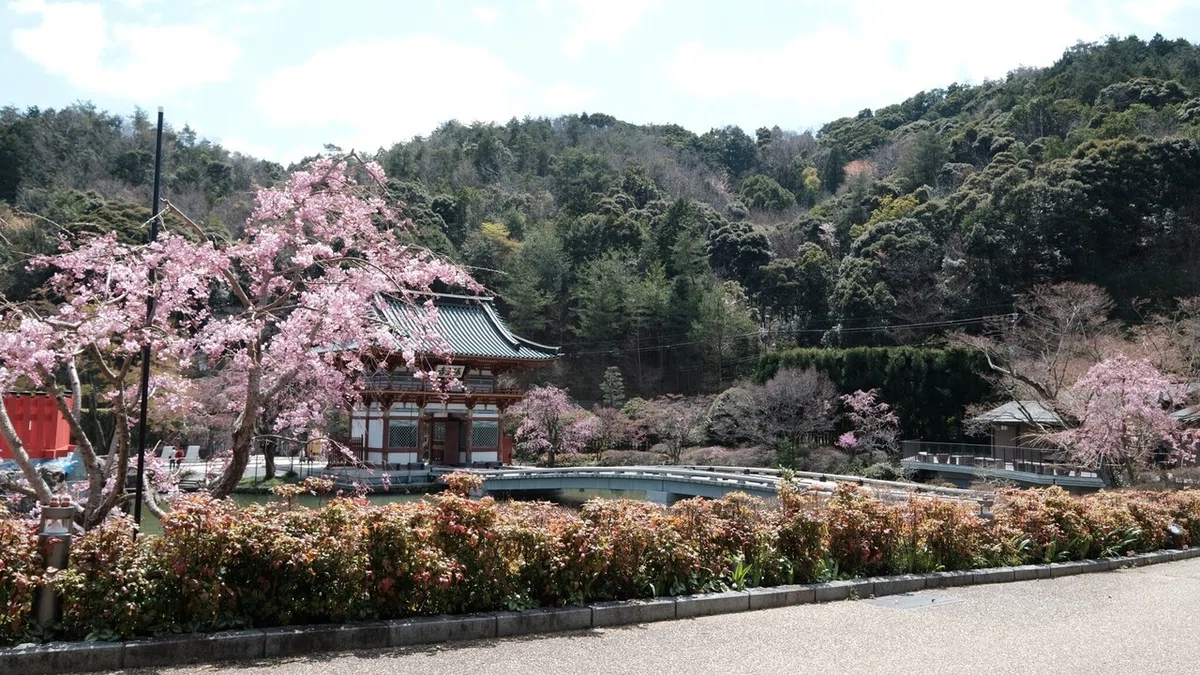 画像49