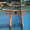 はら光利