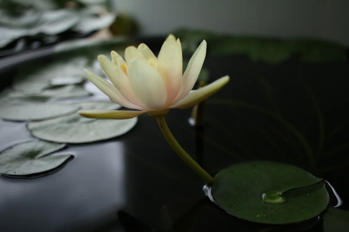 画像70