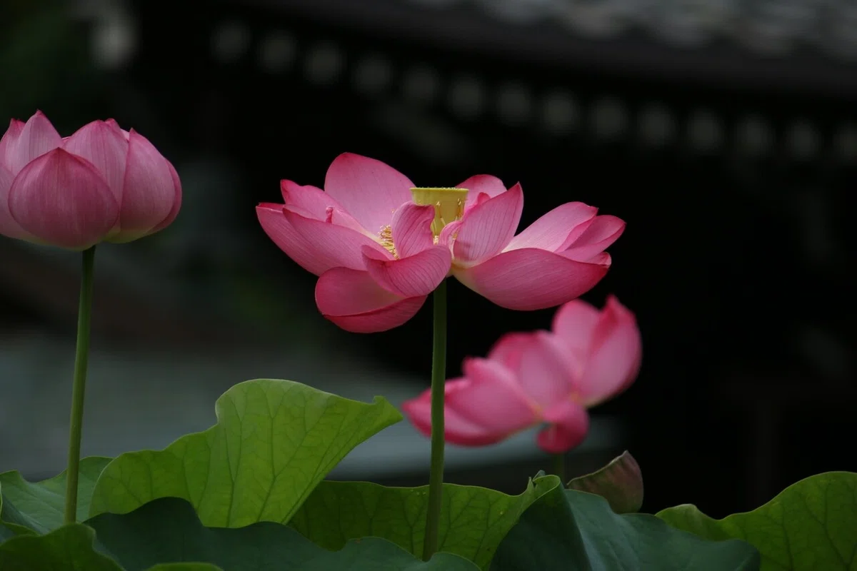 画像71