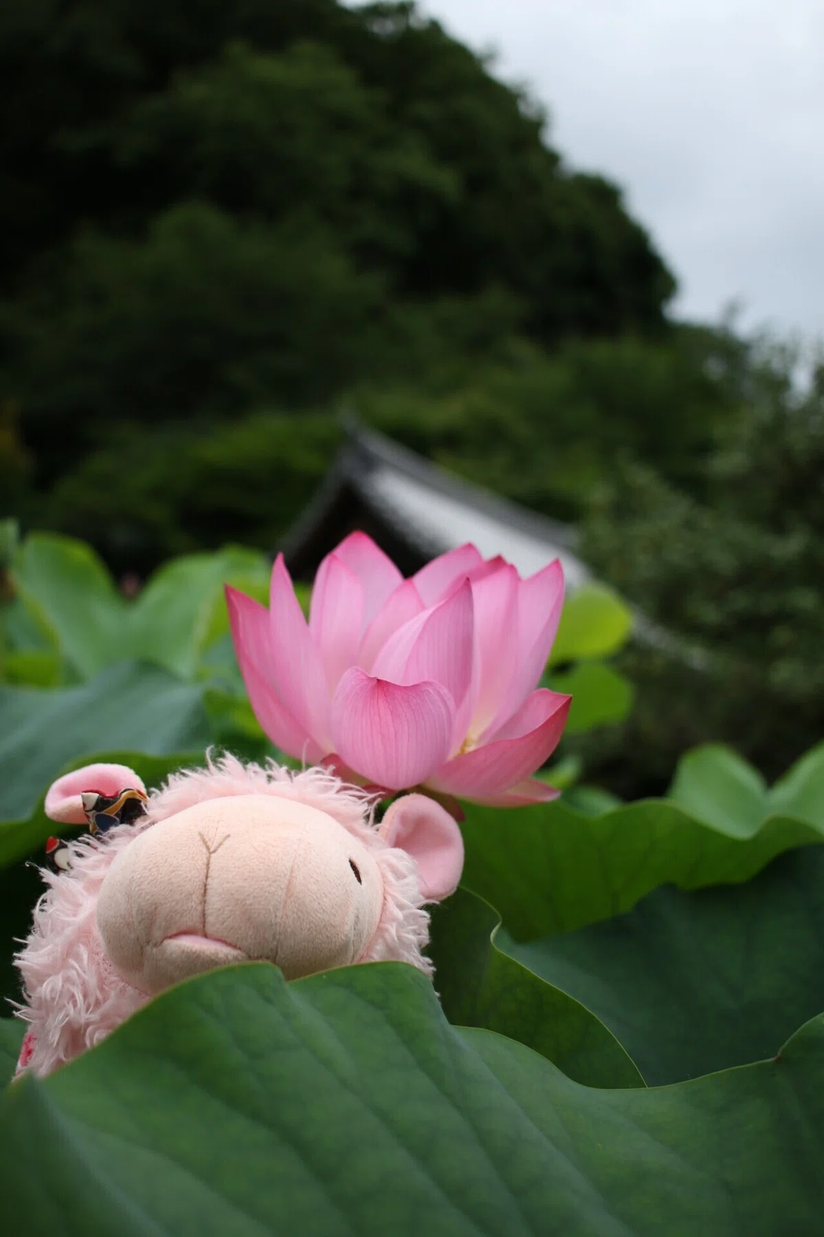画像73