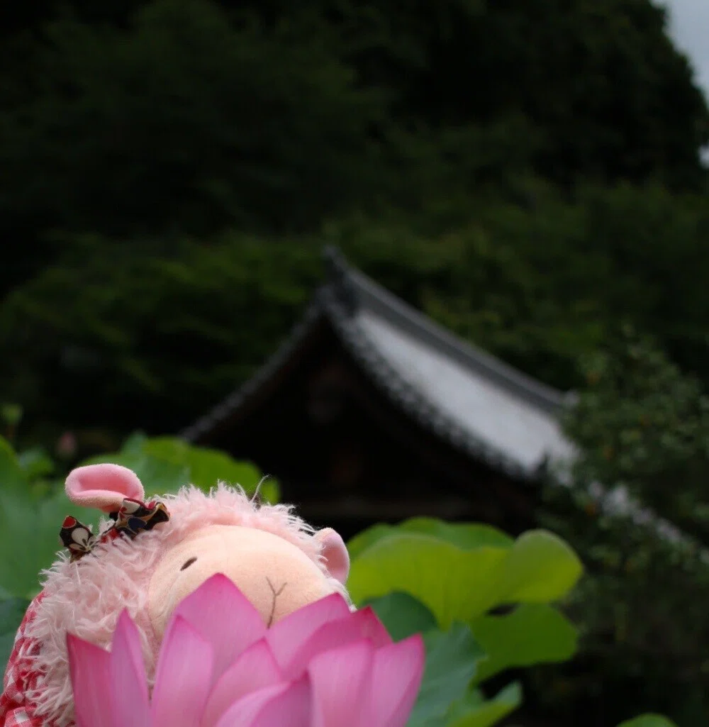 画像74