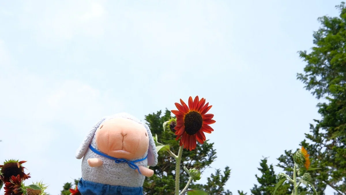 画像83