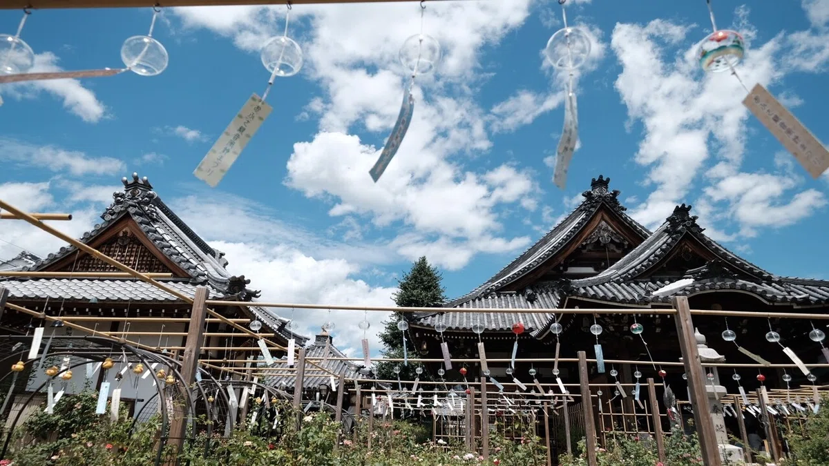画像88