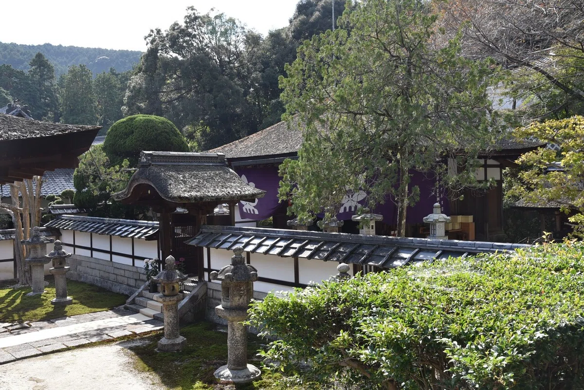 画像10