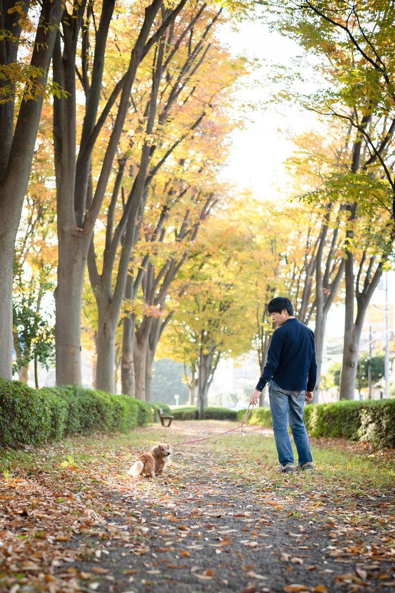 なぜファミリー”DOG”フォトなのか