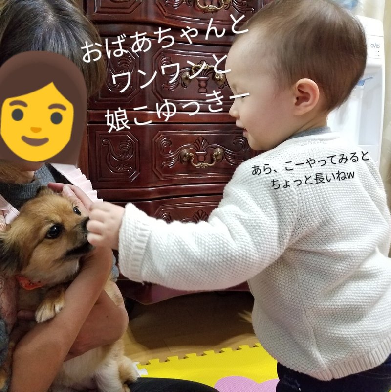 自然派ミシュラン 大府市 共和町 はたけぞく 自然派リサーチマイスター ゆっきー Note