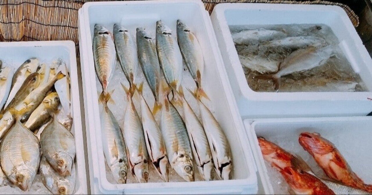 コロナのせいで ブリが 売ってない 諸行 Note コロナのせいで ブリが 売ってない 諸行 Note