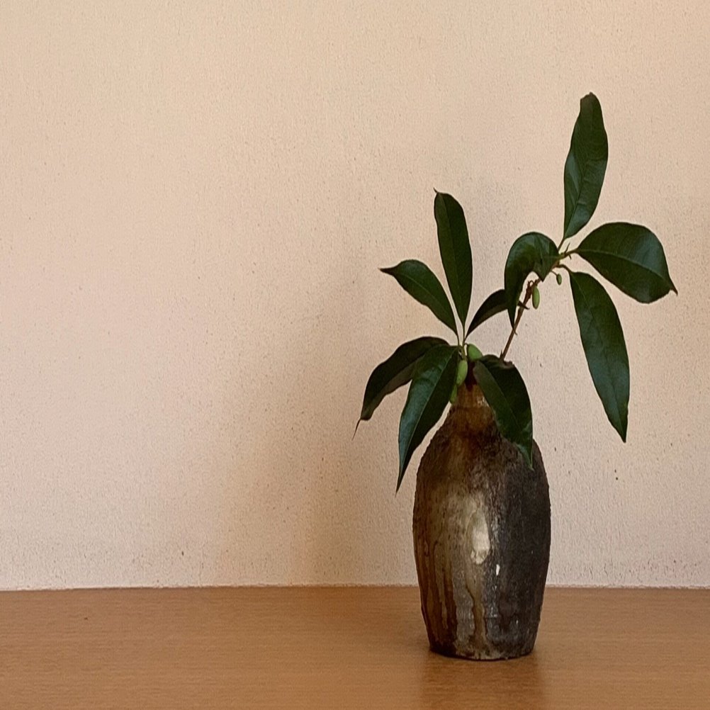 金木犀に成らないはずの実が成った 川村明子 Note