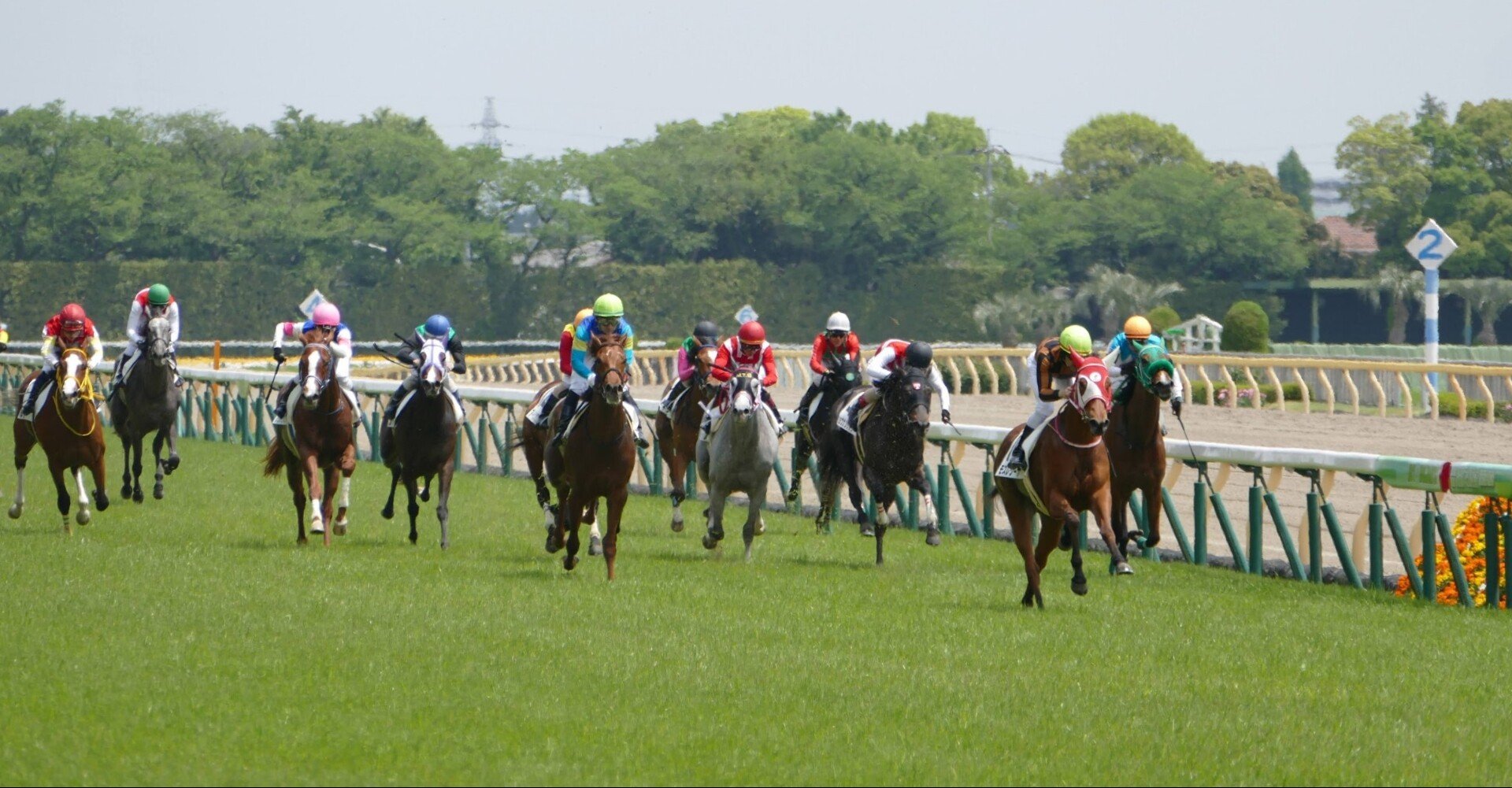 表 中央 競馬 日程