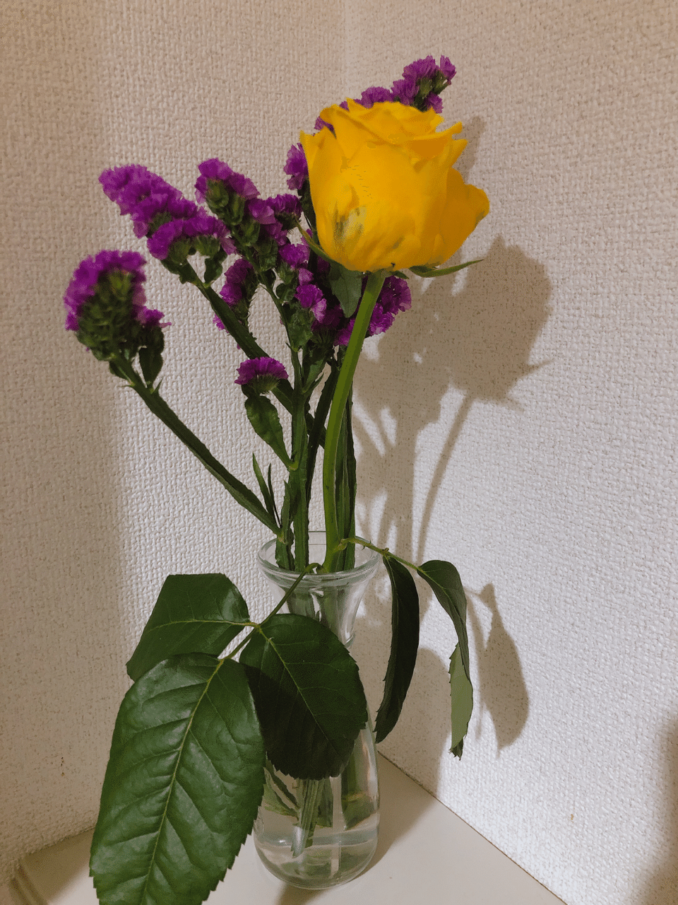 薔薇となんだろ 紫のやつ ふぁっさす Note 薔薇となんだろ 紫のやつ ふぁっさす Note