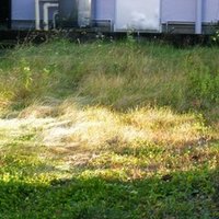 写真家の立場でみる 多様性 について あるいは 懐かしき 白と金 と 青と黒 のドレスへ捧げるオード 別所隆弘 Takahiro Bessho Note