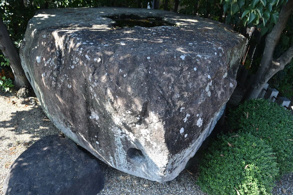 画像5
