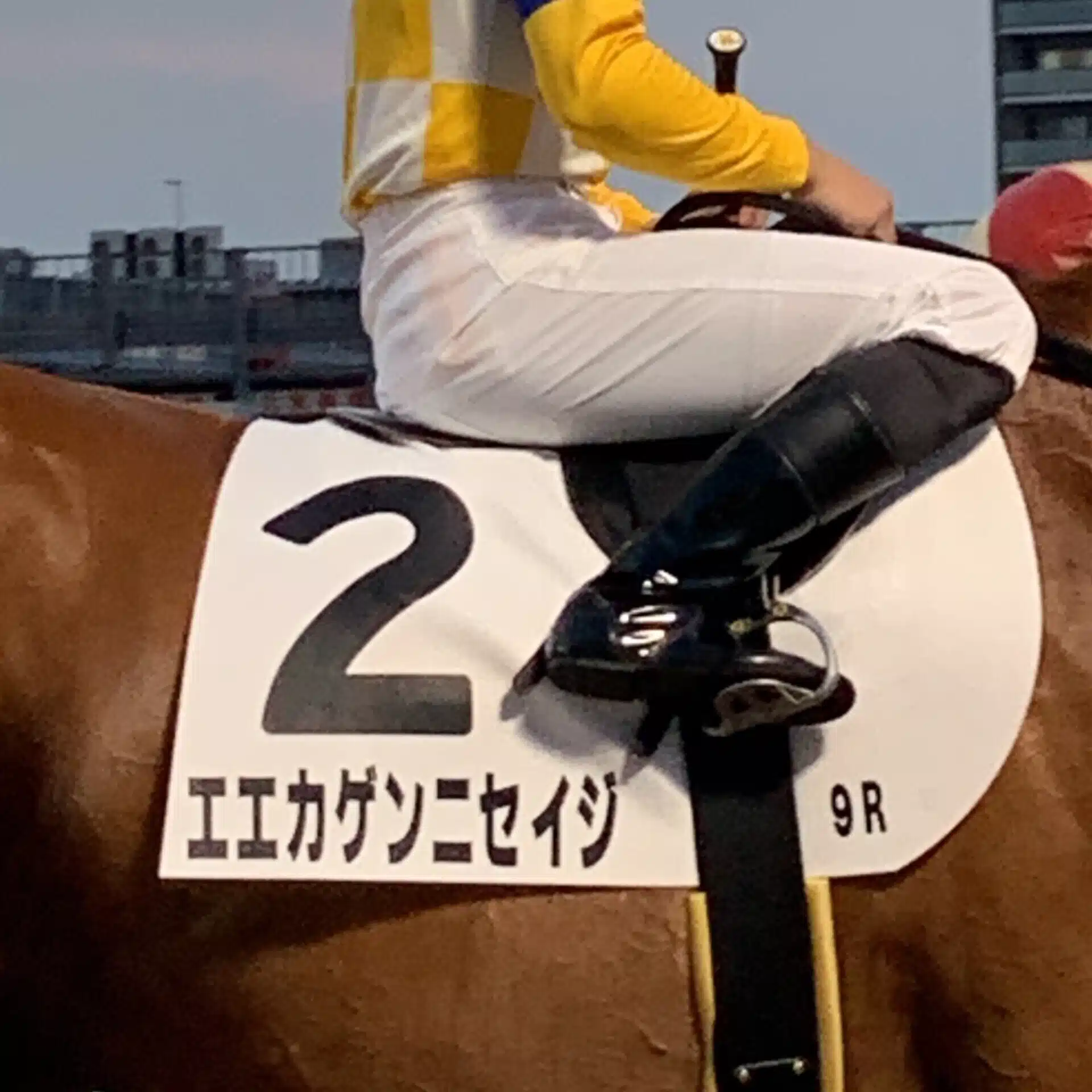 MaroMaro