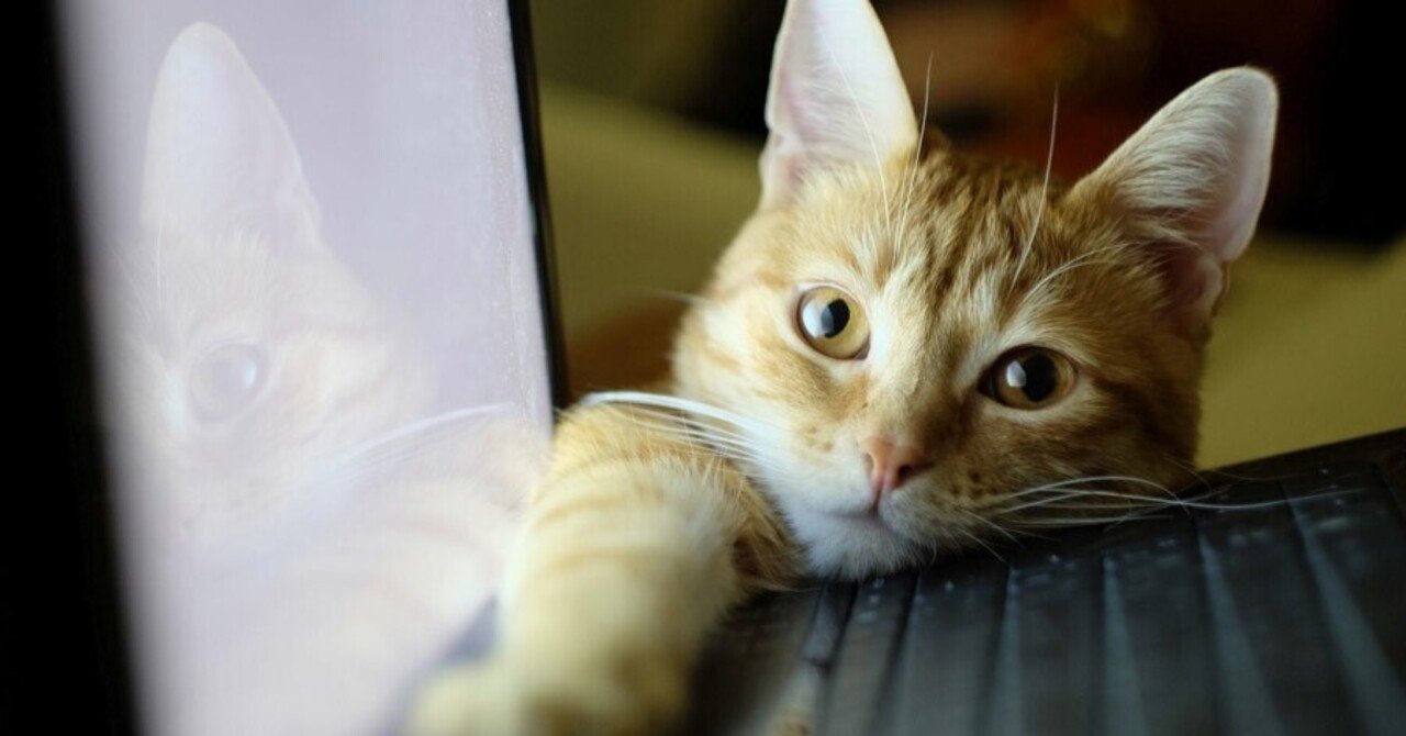 Rpgmvの開発用にgithubとgit For Windowsを導入した話 梅しらす ひたすら楽してゲーム制作 Note Rpgmvの開発用にgithubとgit For Windowsを導入した話 梅しらす ひたすら楽してゲーム制作 Note