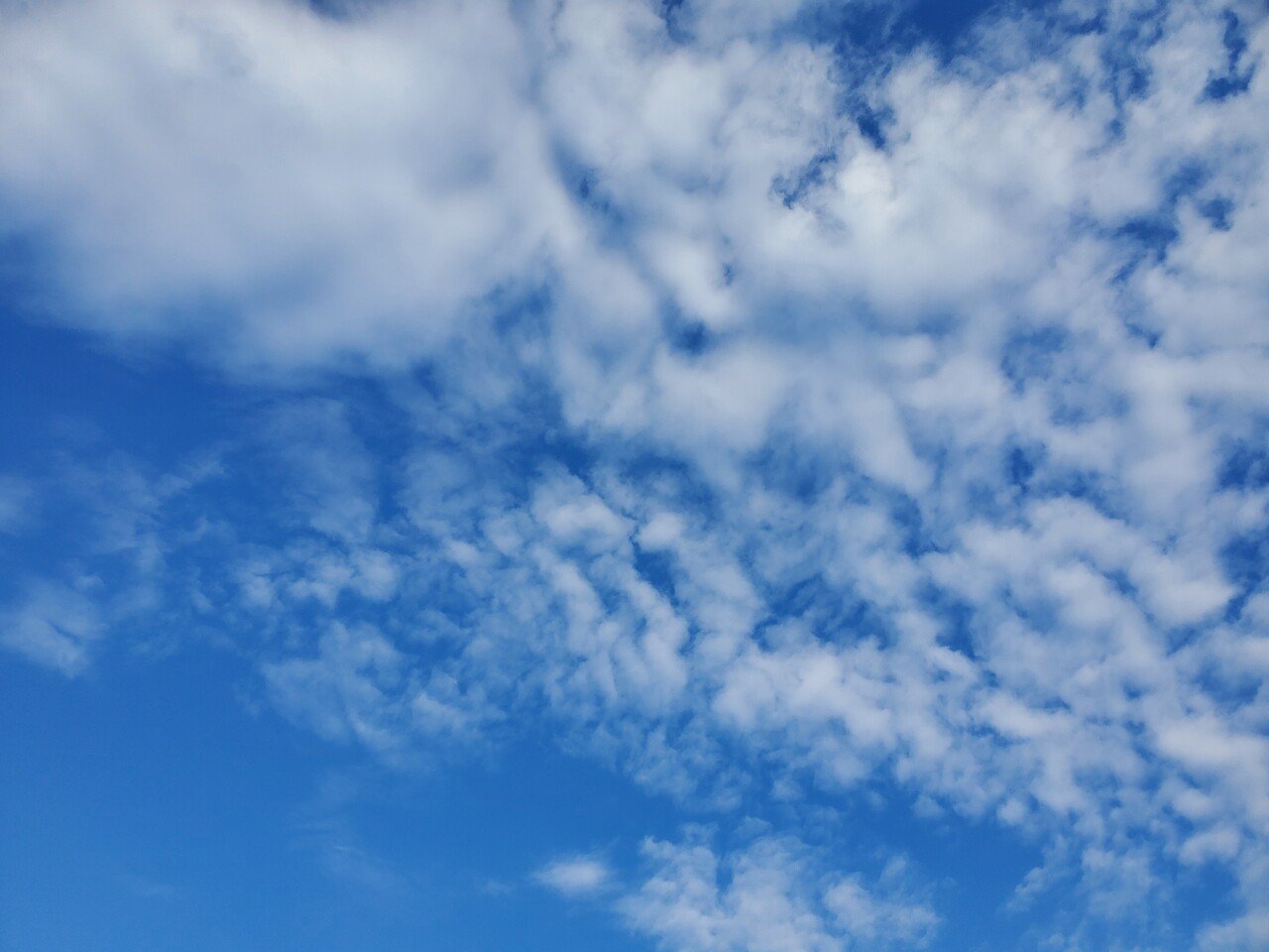 先日ラジオで Mtg の意味について話をしていた Mtgとは ミーティングの訳として ご存じの方も多いと思いますが ラジオから流れてきた訳は 無駄 退屈 我慢 何か使えそうと思ったのは Blossomoon Note