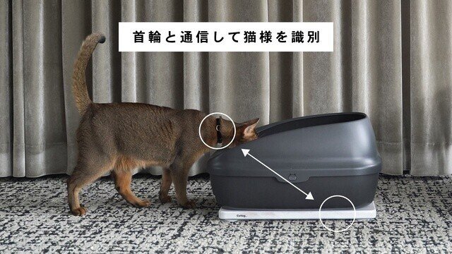 Catlog Board キャットログ ボード キャットログボード cat log board