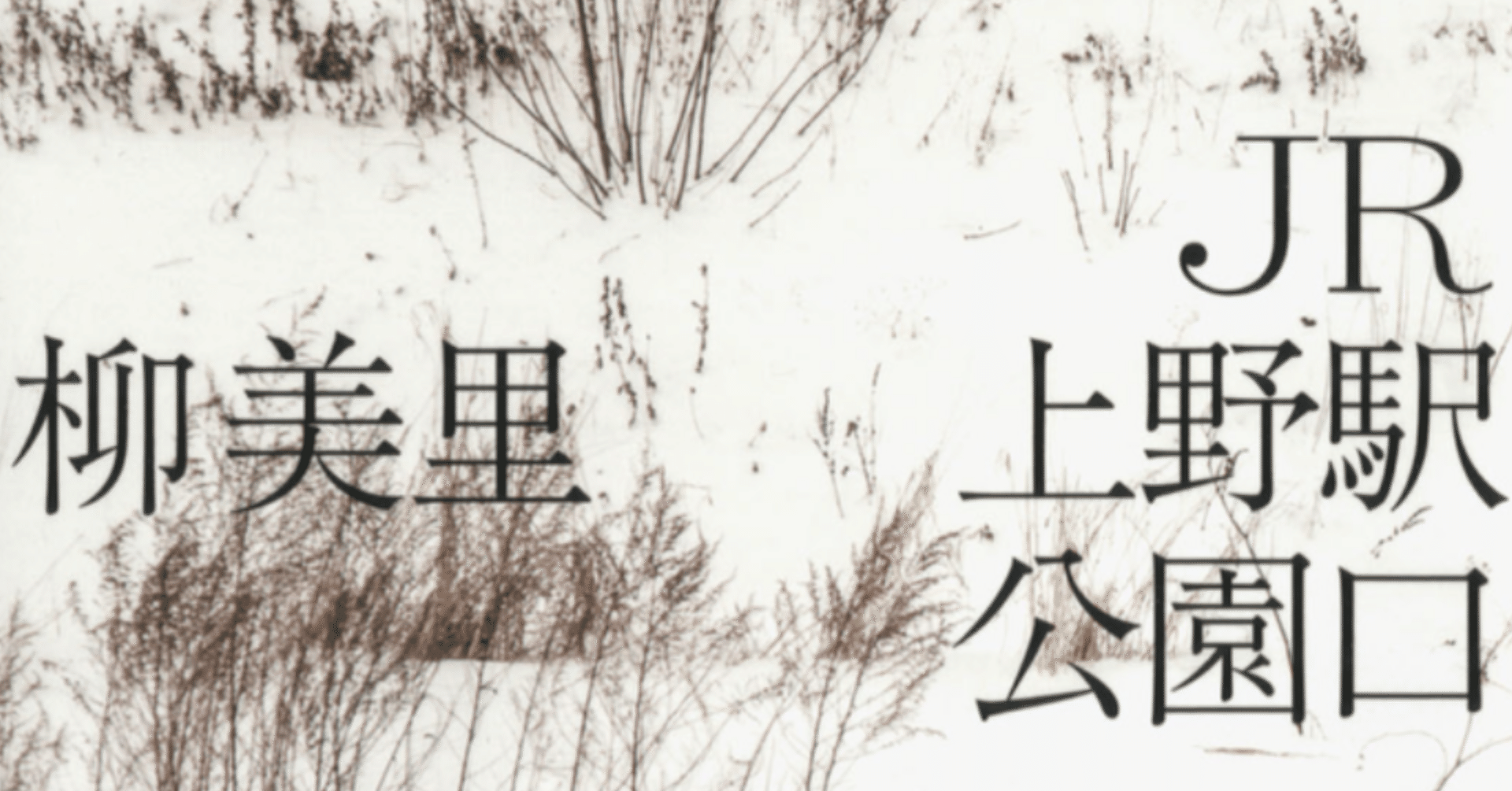 読書感想文 Jr上野駅公園口 柳美里 たまこんぶ Note 読書感想文 Jr上野駅公園口 柳美里 たまこんぶ Note