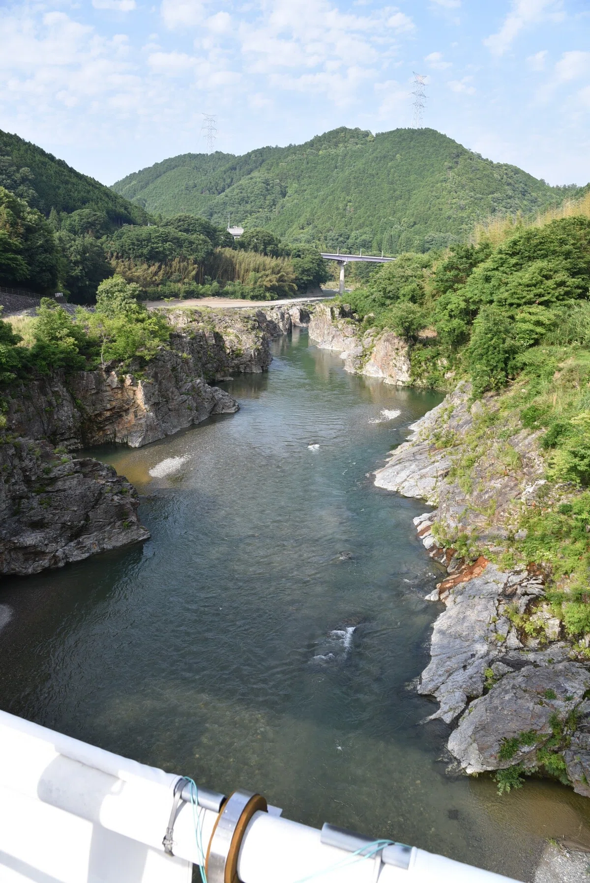 画像7