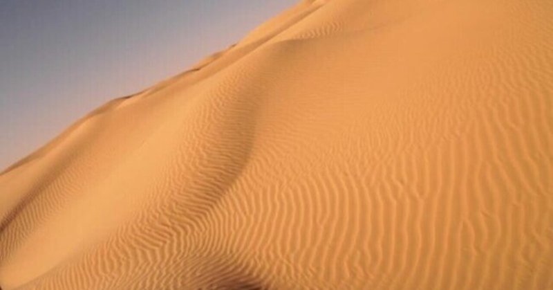 地球に不時着した宇宙人が砂漠で砂一粒分の井戸を見つけて そこからだけ出てくる謎の液体を舐めて生きている感じ きつね Note