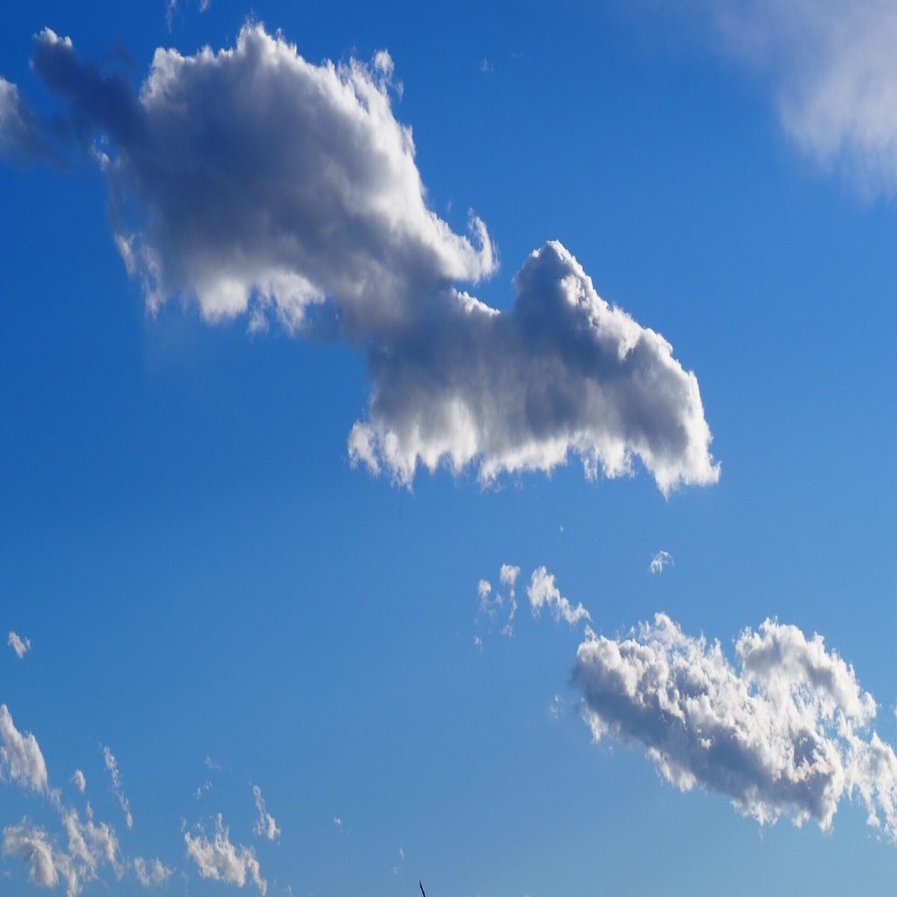 末っ子可愛い説 マクロビオティックコンサルタント 布ナプキンアドバイザー 認定講師koko Note