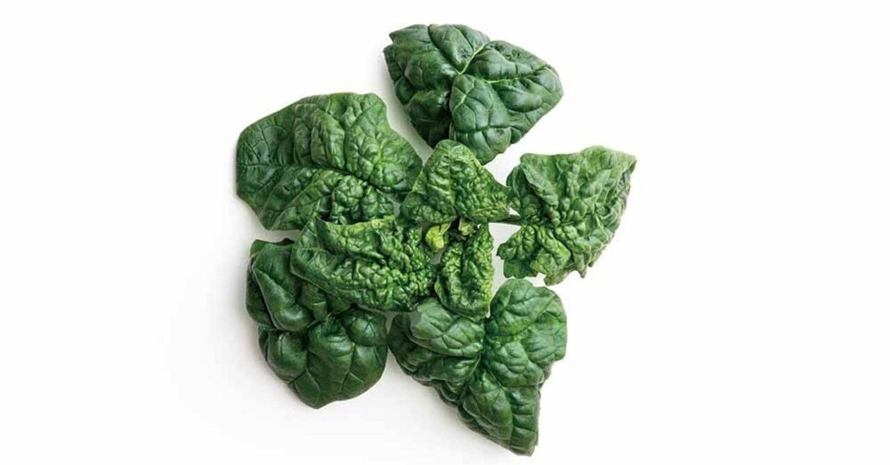 冬限定の ちぢみほうれん草 普通のほうれん草と何が違うの コープさっぽろの広報誌 Cho Co Tto ちょこっと 冬限定の ちぢみほうれん草 普通のほうれん草と何が違うの コープさっぽろの広報誌 Cho Co Tto ちょこっと