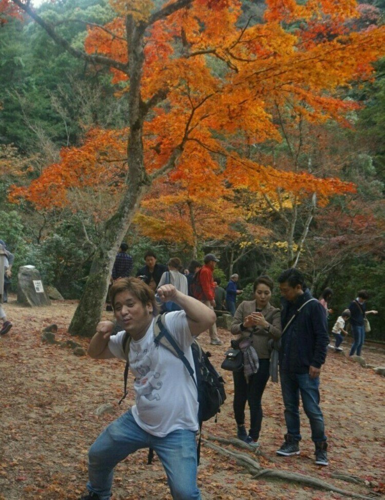 宮島紅葉谷公園