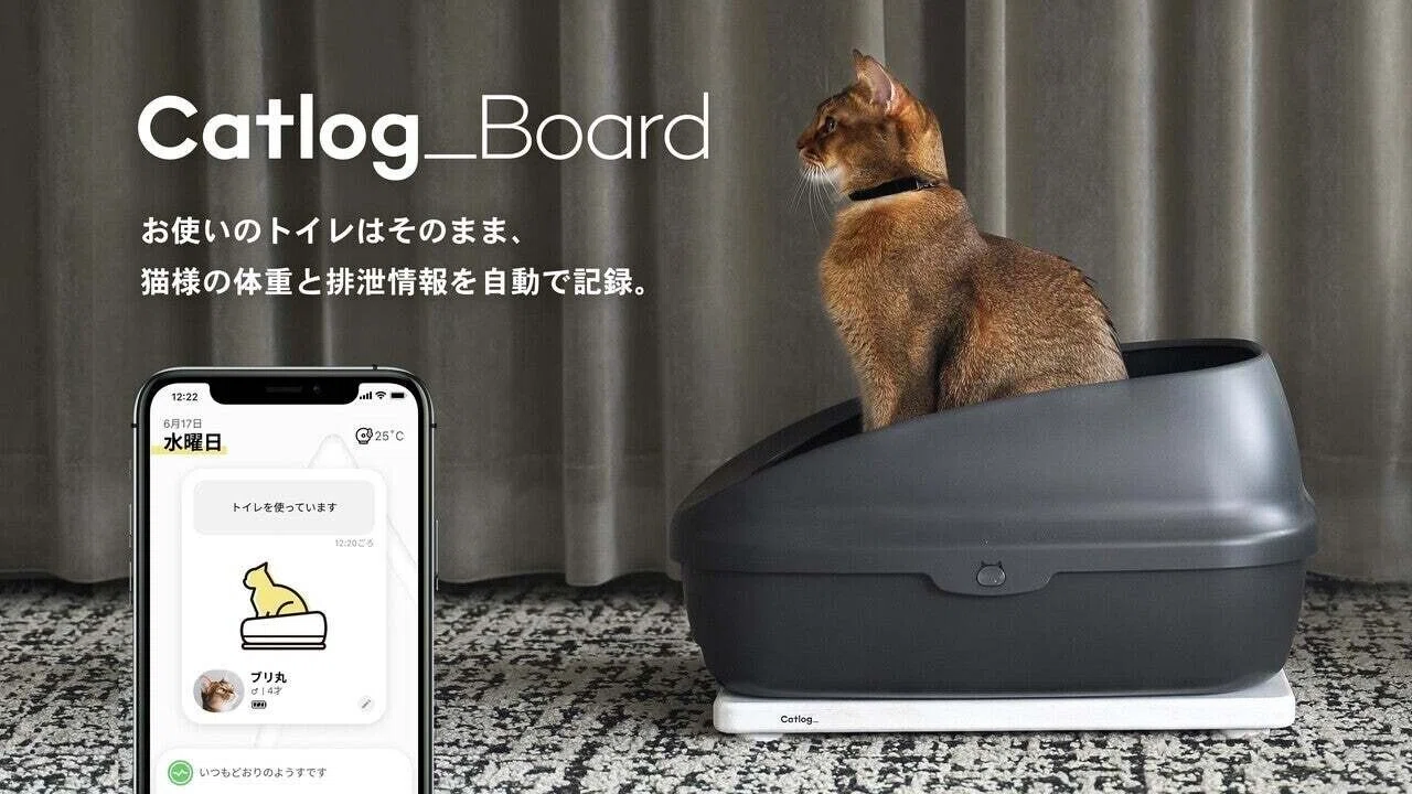 すべては、猫様のために。」 Catlog Boardの最大のこだわり｜RABO, Inc.