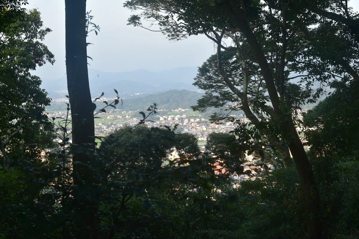 画像2