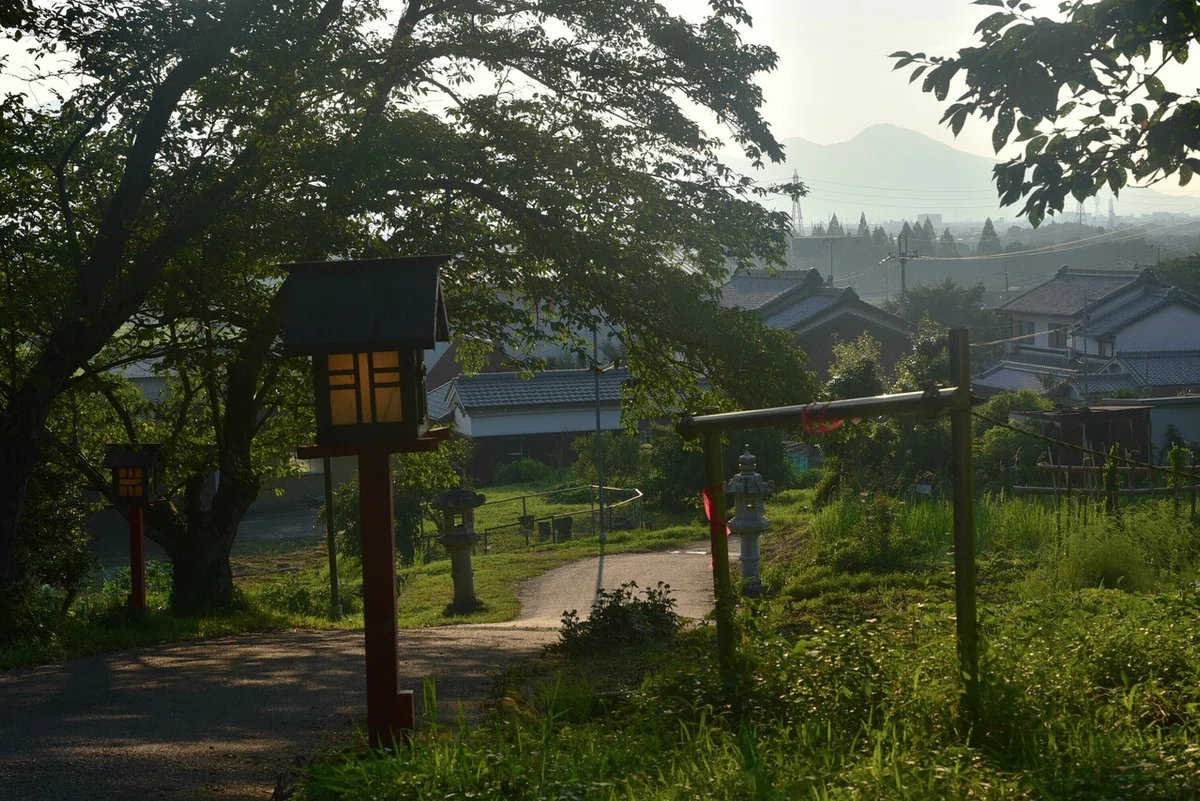 画像5