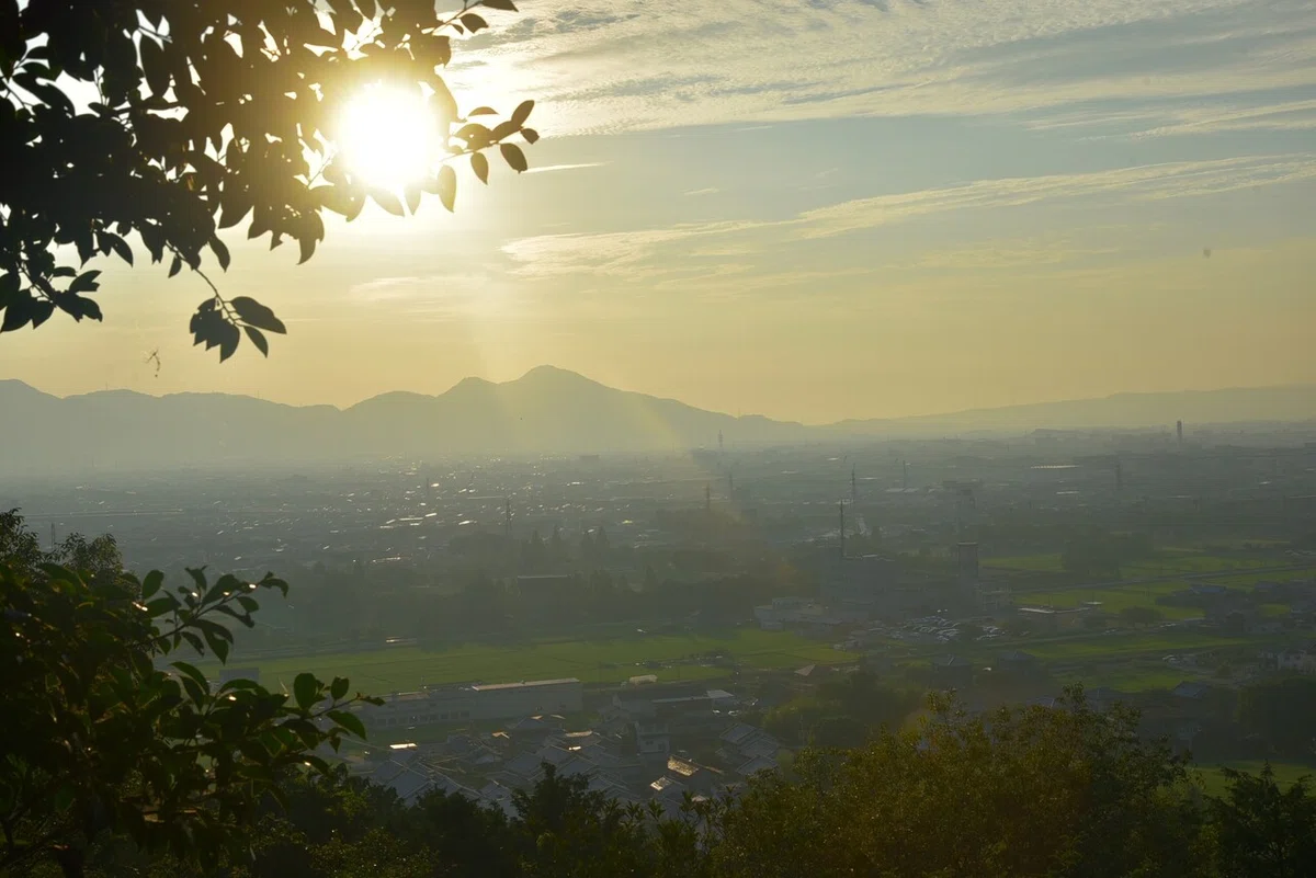 画像6