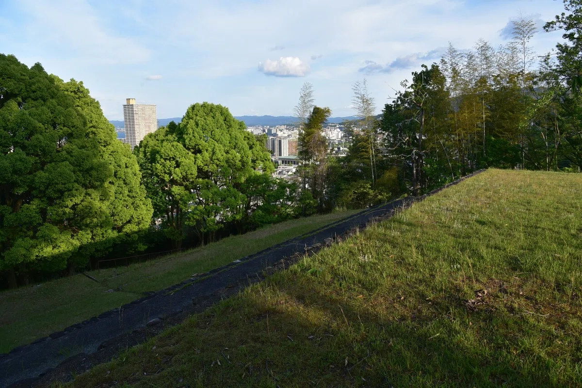 画像4