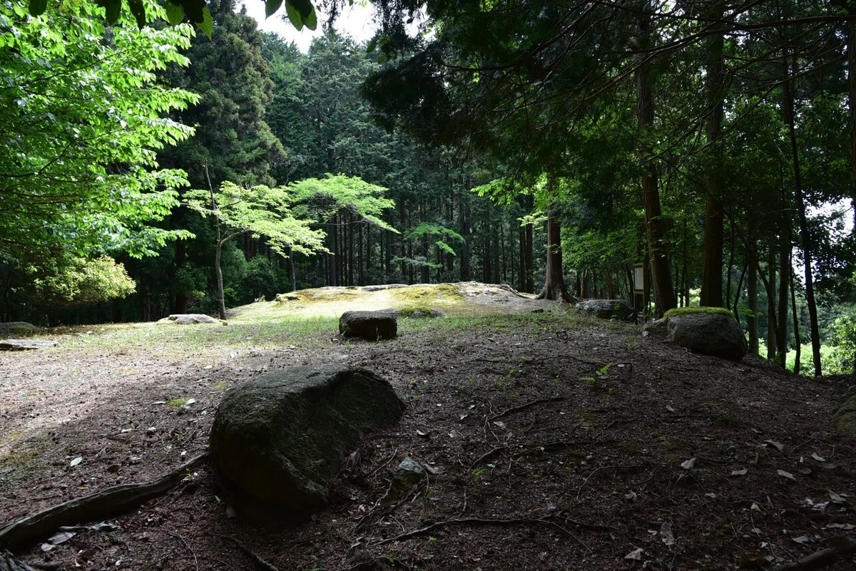 画像1