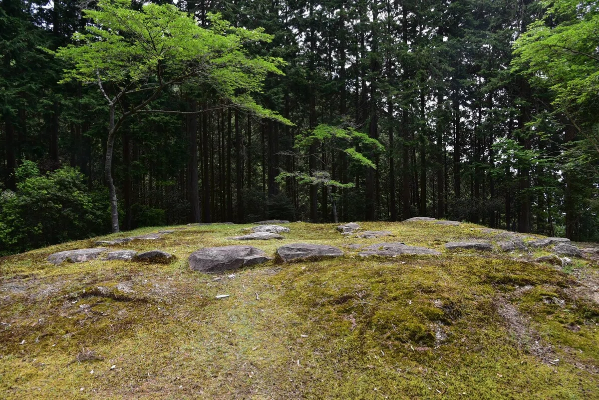 画像3