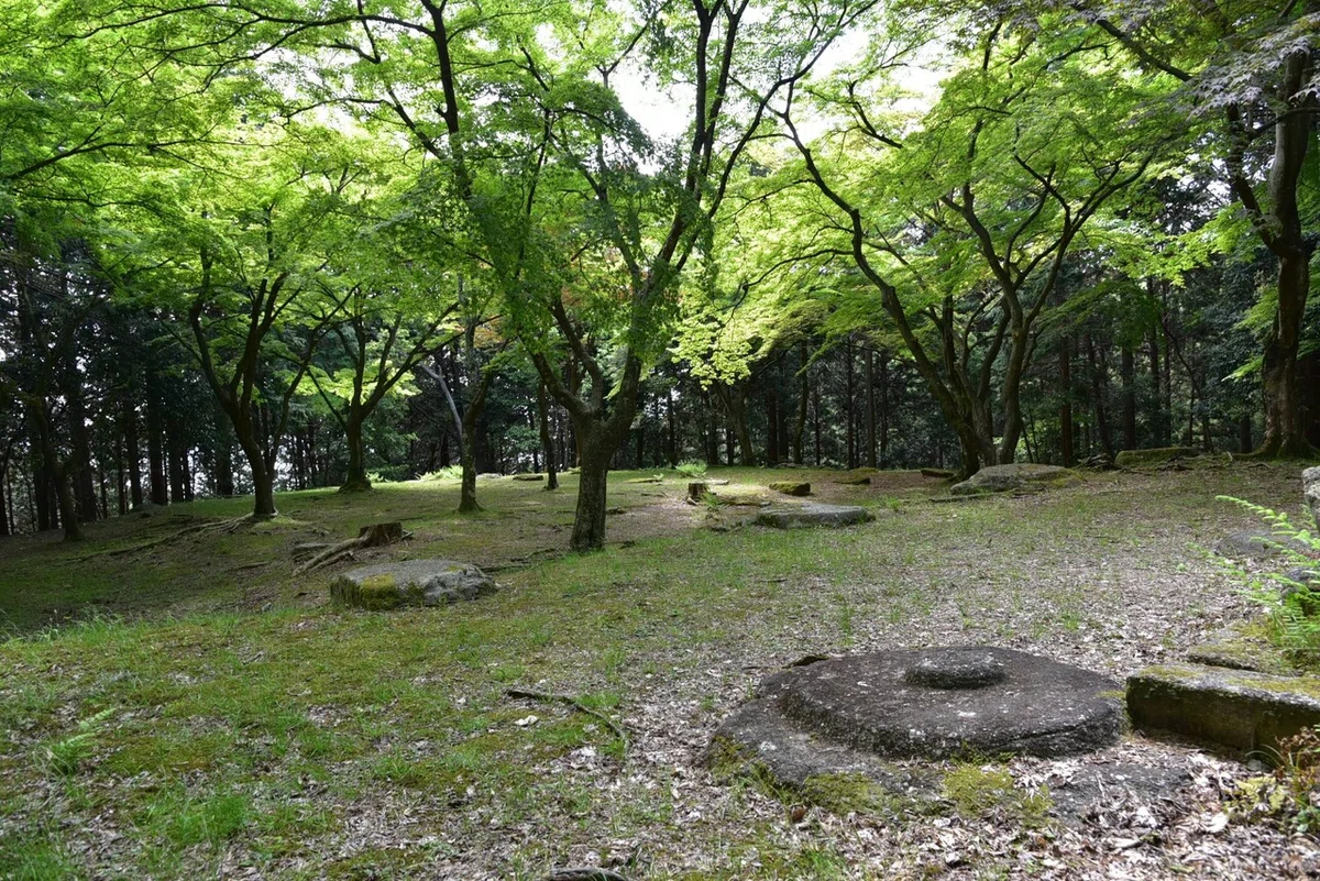 画像4