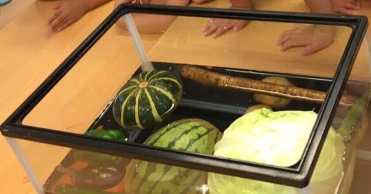 水と物体の実験 水に浮くもの沈むもの ちとせ交友会 世田谷 Note