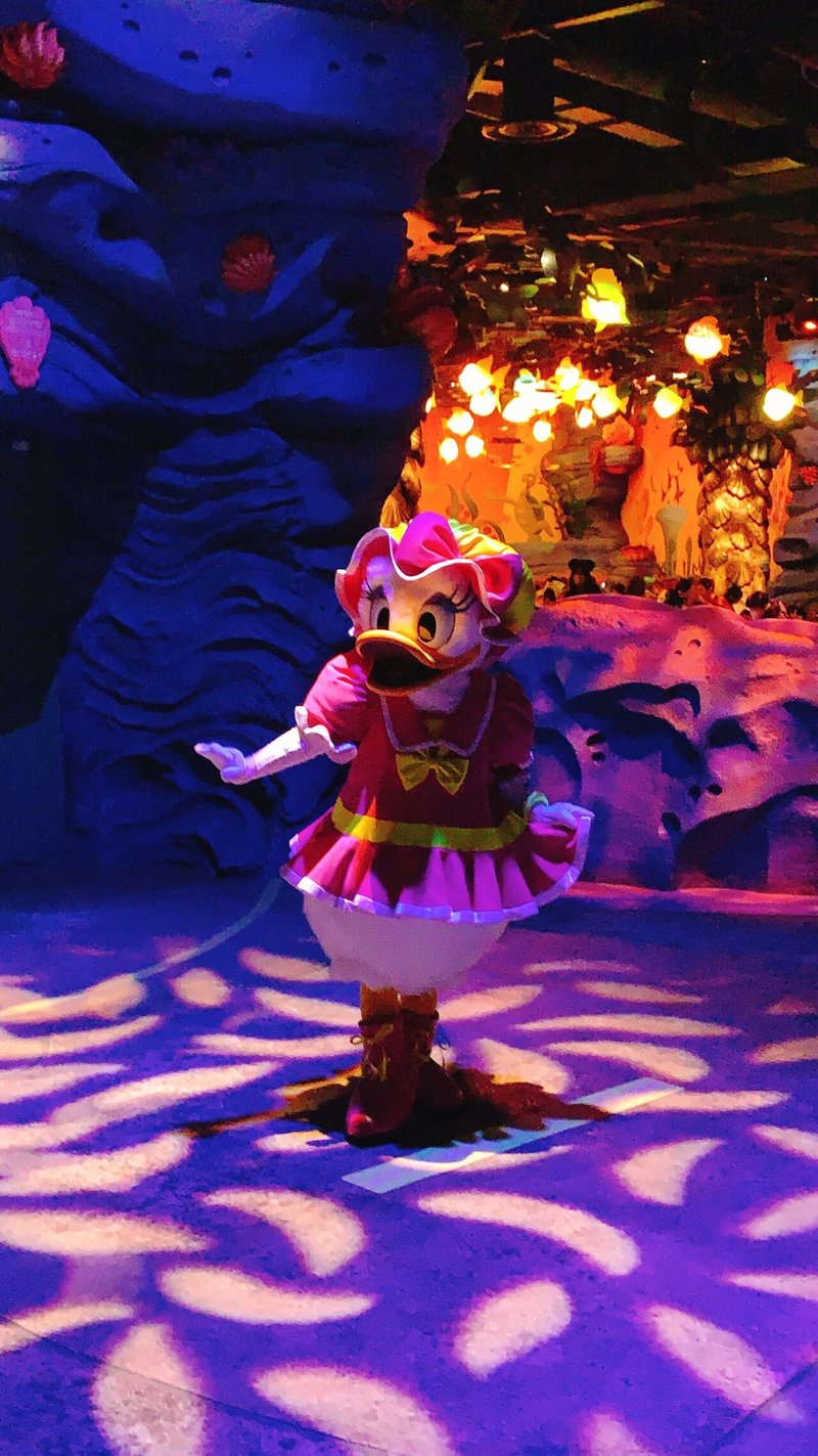 クリスマス家族ディズニーvol 7 王子がめっ可愛 キャラクターと写真が撮れるディズニーフォトが自然過ぎる イヴん家のディズニー旅記録 Note