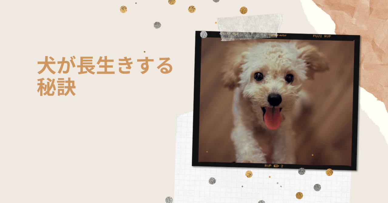 犬が長生きする秘訣 ドッグヘルスケアアドバイザー Aki Note