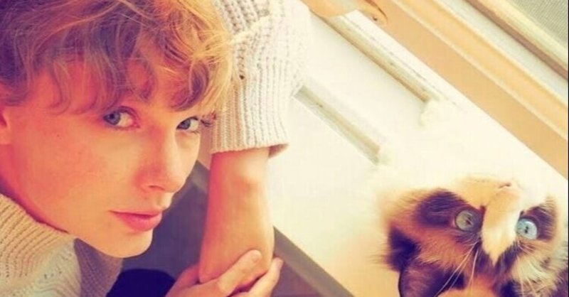 和訳 Closure Taylor Swift Mirror Note