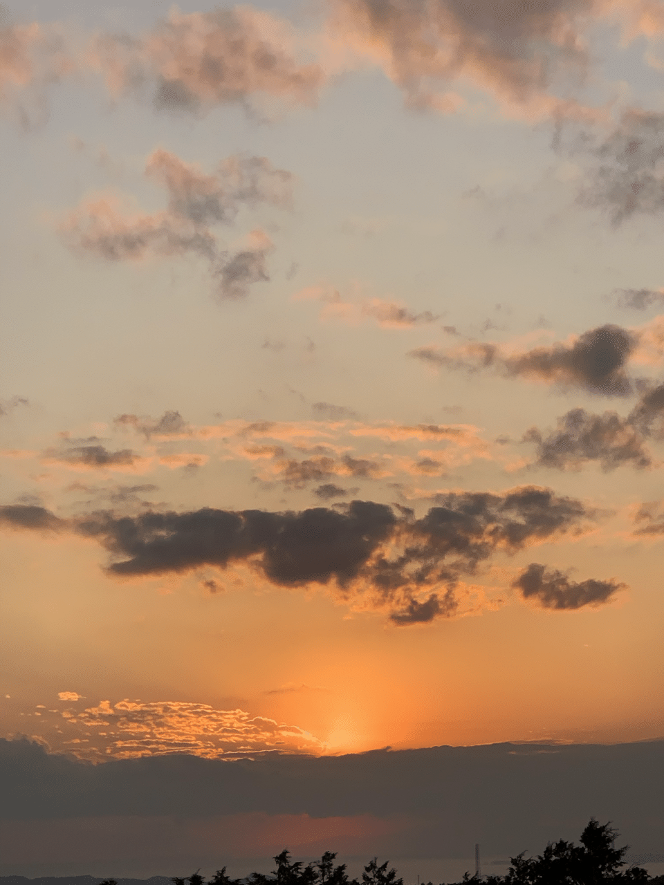 綺麗な夕焼け空｜きょうやん503506