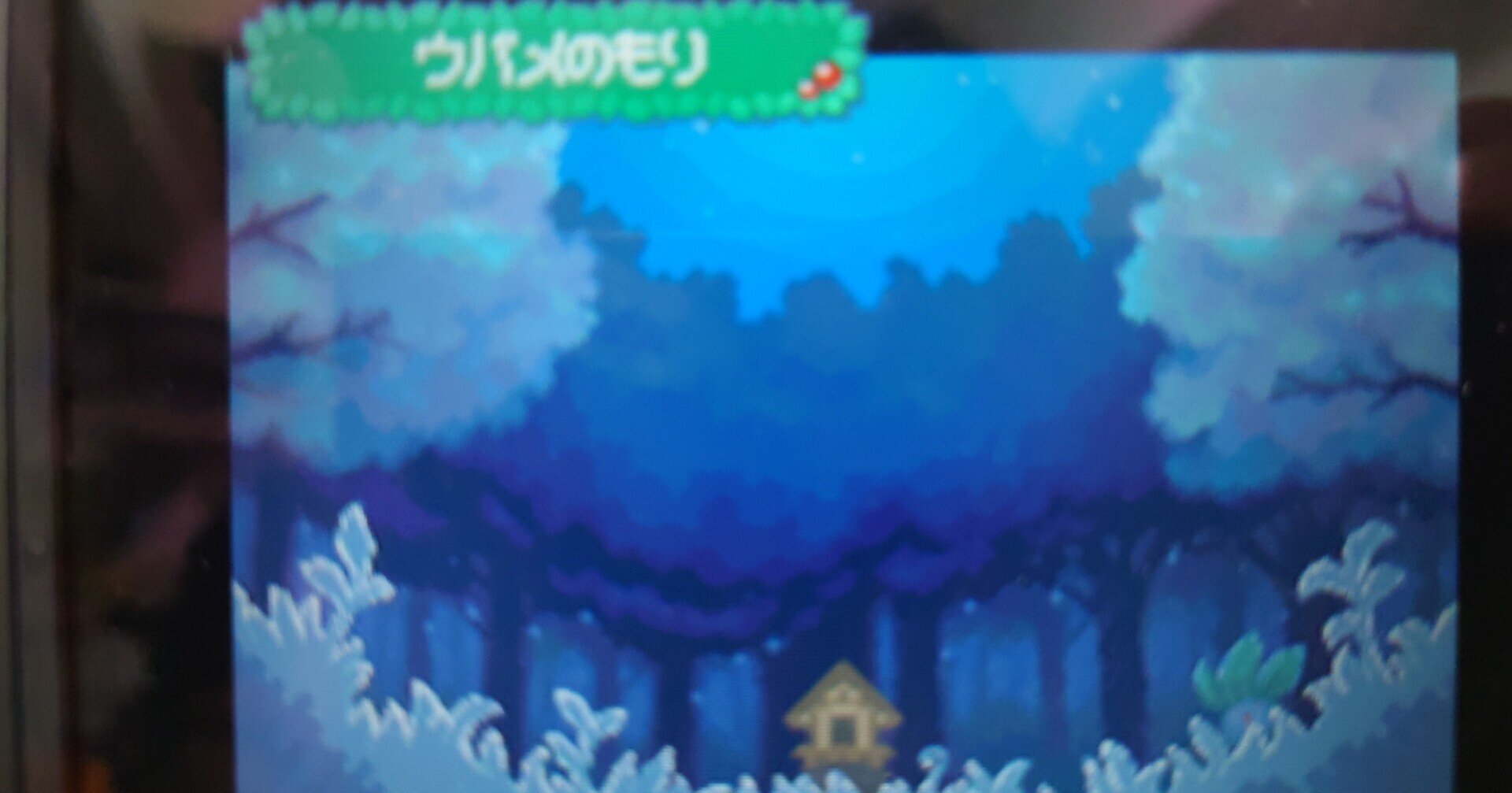 思い出の場所 ポケモンss 3 箱崎ゆのまる Note 思い出の場所 ポケモンss 3 箱崎ゆのまる Note