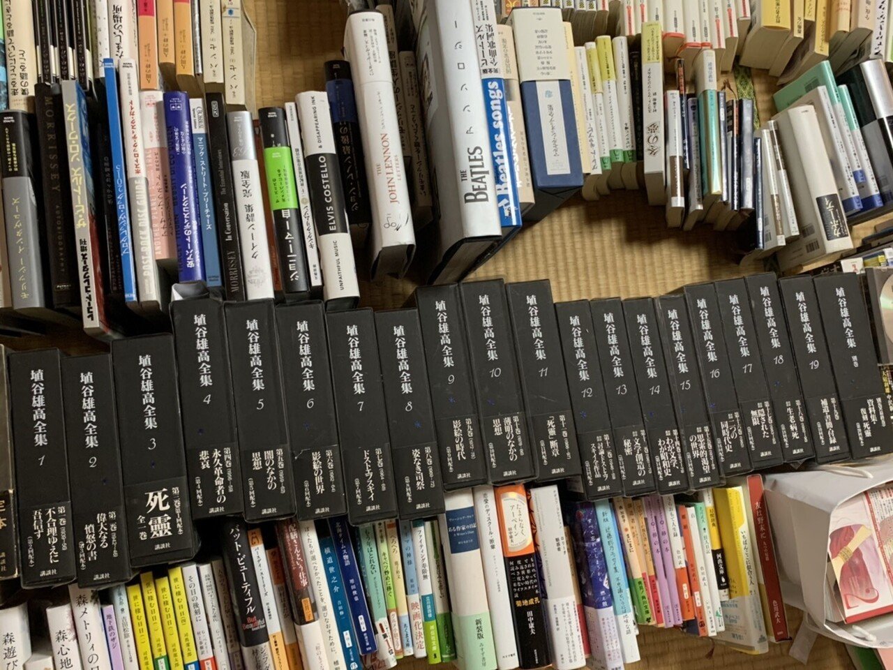 埴谷雄高『死霊』 始まりにして終り 埴谷雄高との対話』白川正芳 | 単行本 - 文藝春秋