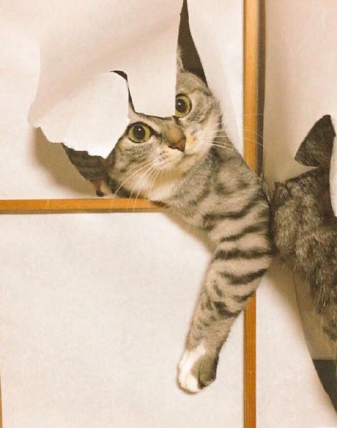 秘書がやりました の新着タグ記事一覧 Note つくる つながる とどける