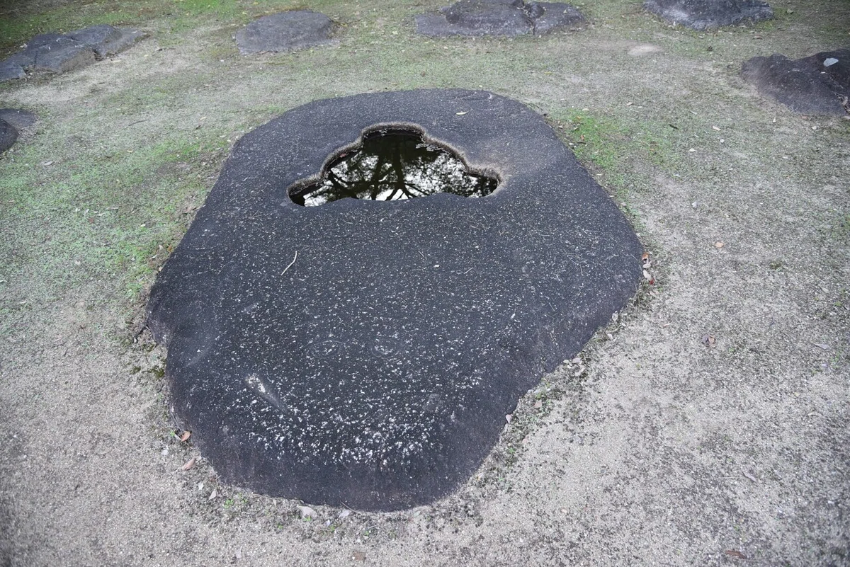 画像7