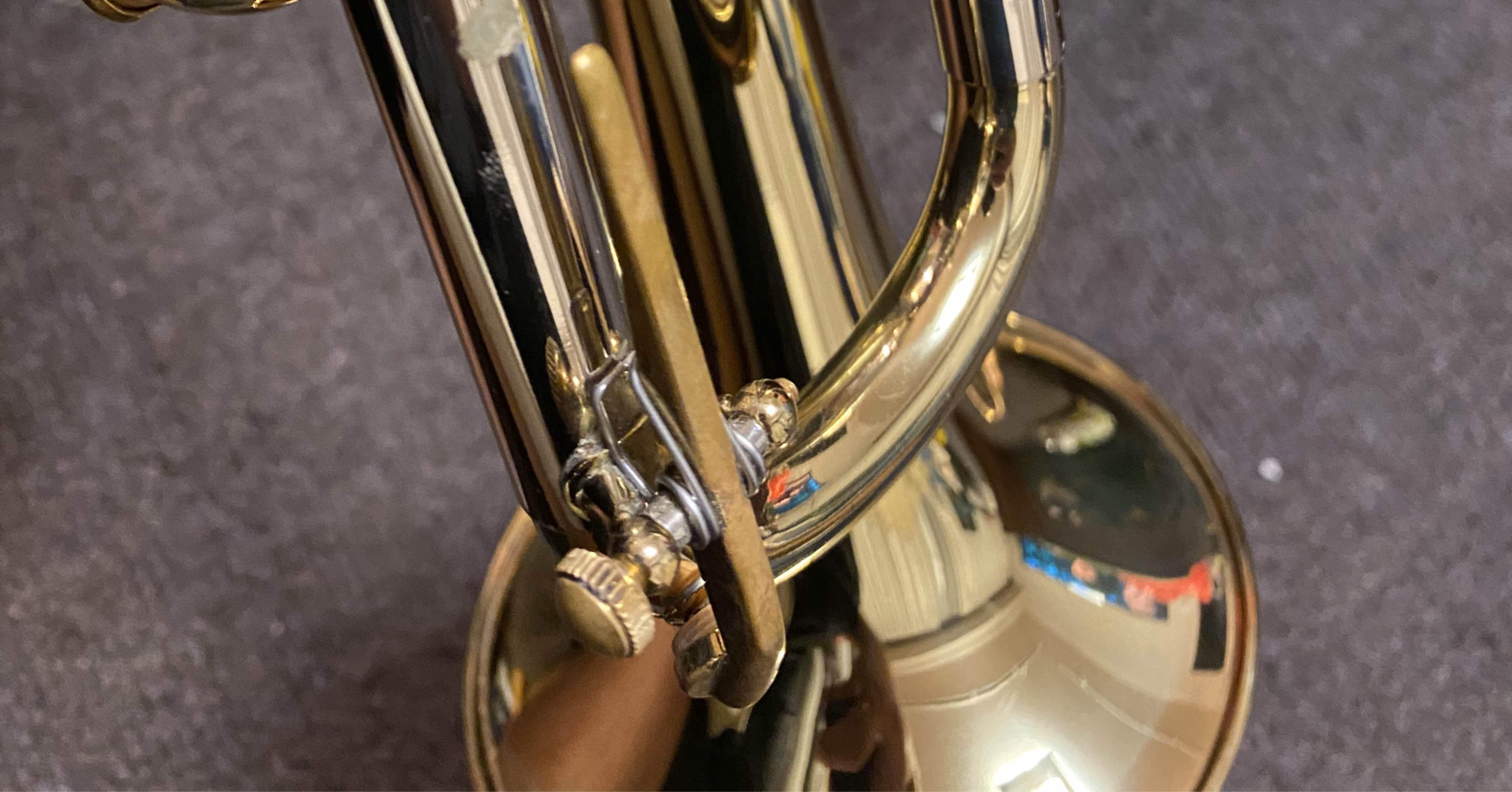 My Favorite Things(1) 同姓同名としてのMartin、高嶺の花のCommittee