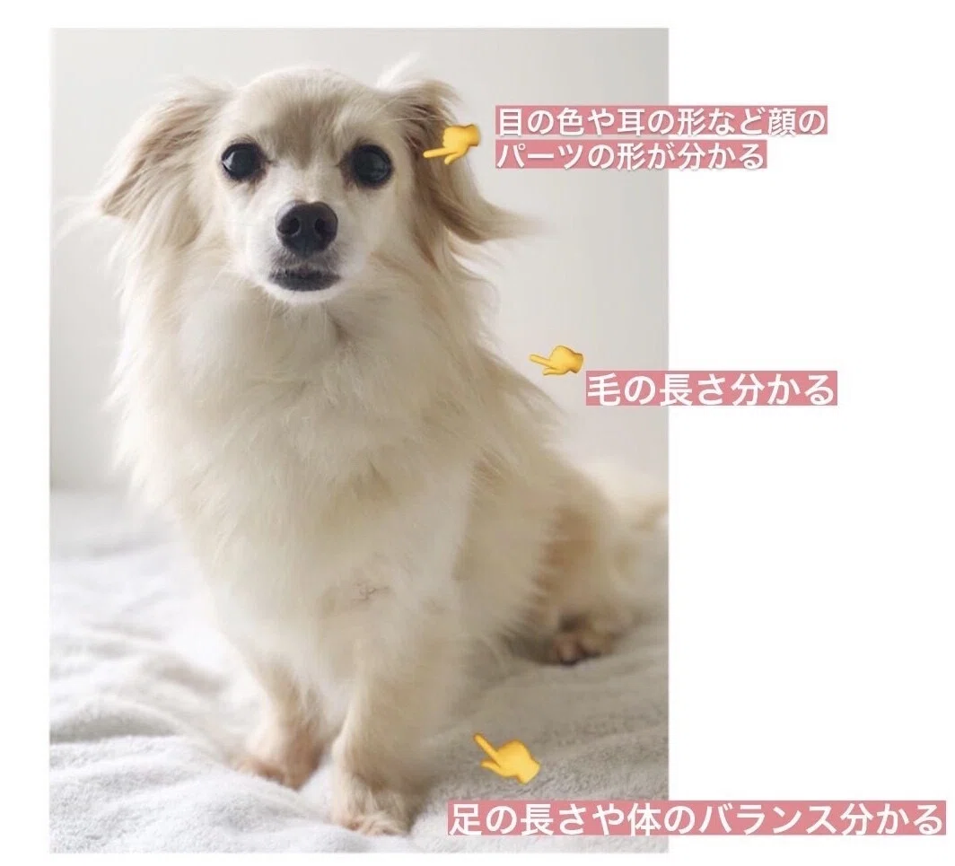 画像4