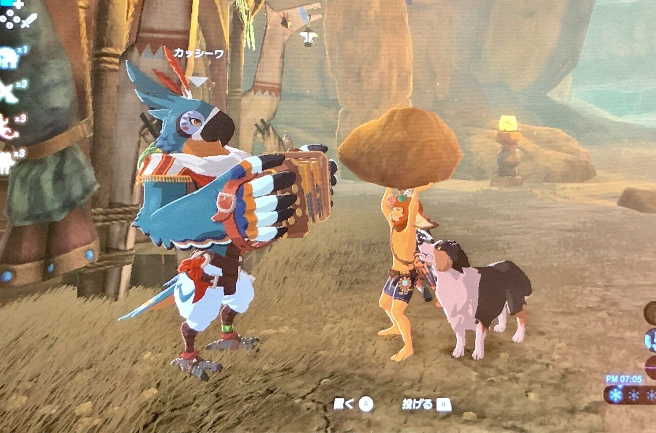 てんちょうの すっかり年末の空気も あらぶるゼルダ日和 カッシーワすき カッシーワ なんです その岩は なんです その犬は チキンクリームシチューなの カッシーワ なん てんちょう Note