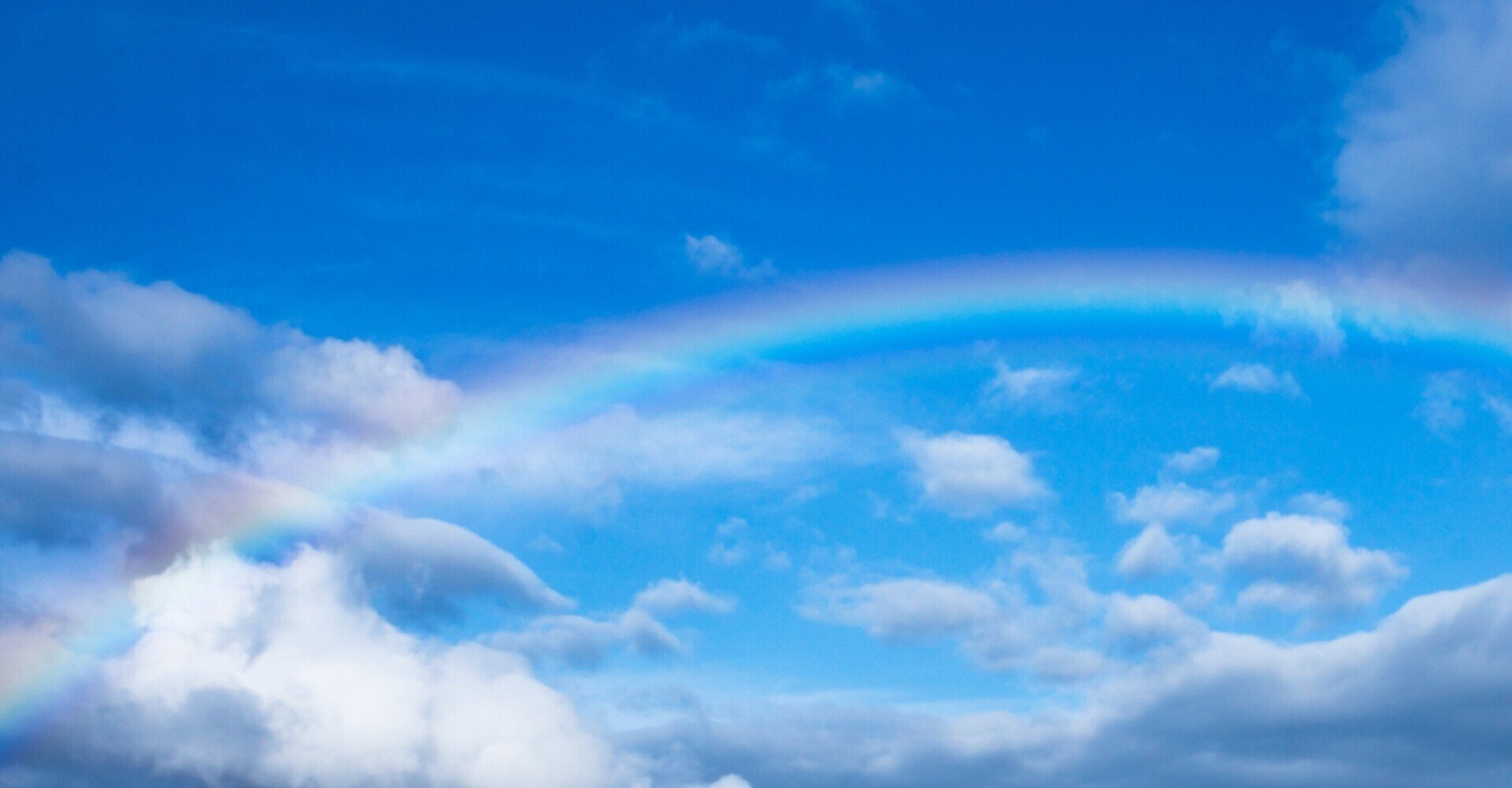 劇場版ポケットモンスター キミにきめた ポケモンは友達 ソラ Note 劇場版ポケットモンスター キミにきめた ポケモンは友達 ソラ Note