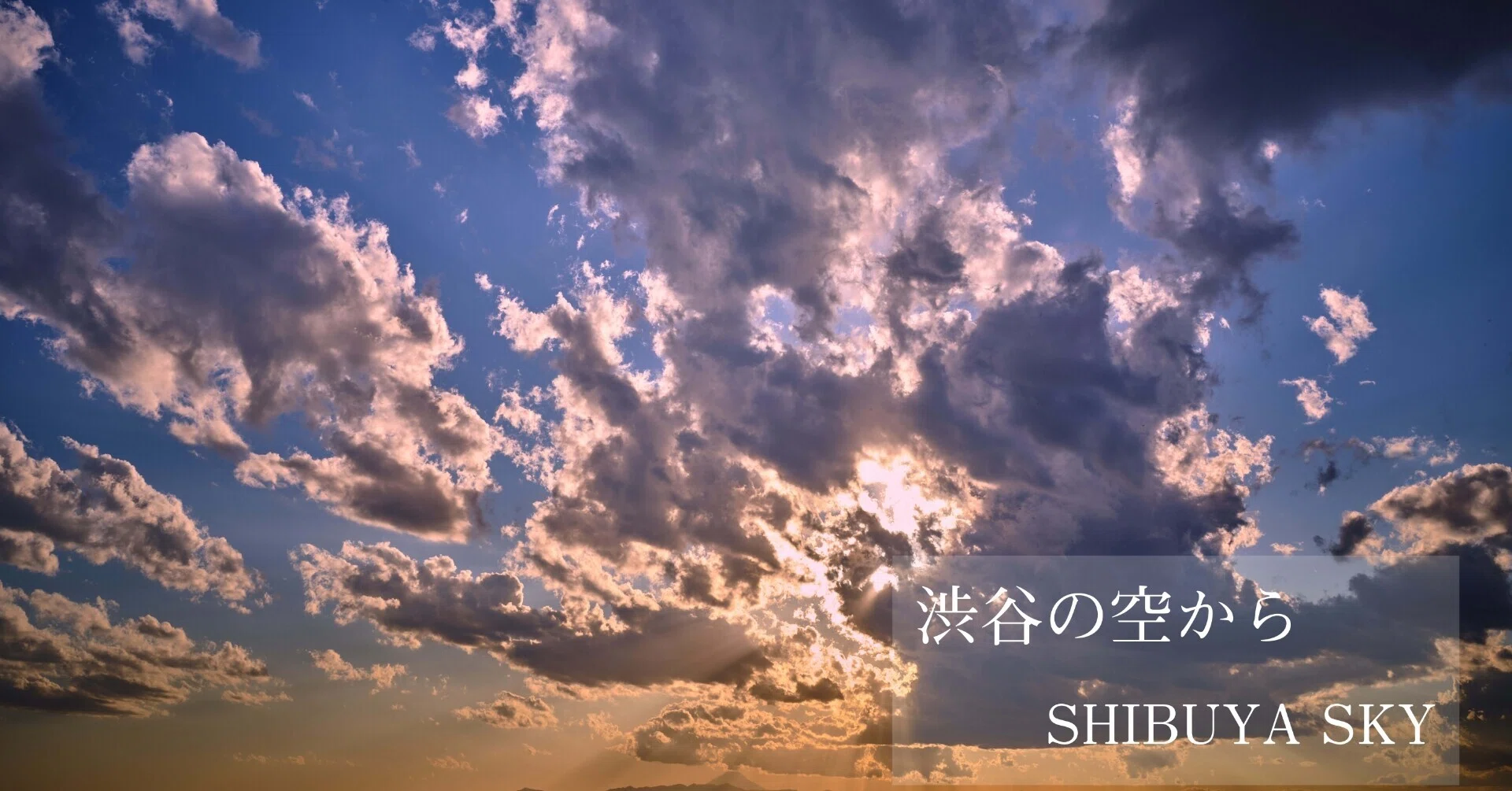 067 [Tokyo] From the Skies of Shibuya: SHIBUYA SKY｜旅するフォト