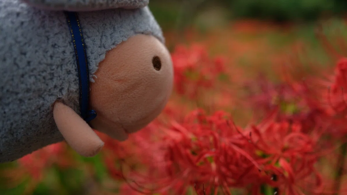 画像108
